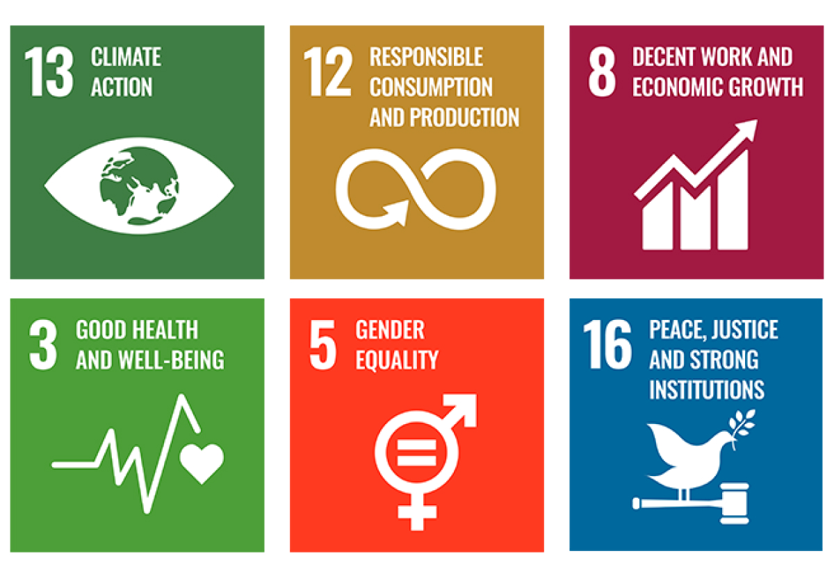 Illustration on the UNs sustainability goals